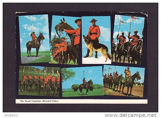 POLICE - ROYAL CANADIAN MOUNTED POLICE - GENDARMERIE ROYALE DU CANADA - CHIEN - POLICEMAN WITH DOG - POSTMARKED - Police - Gendarmerie