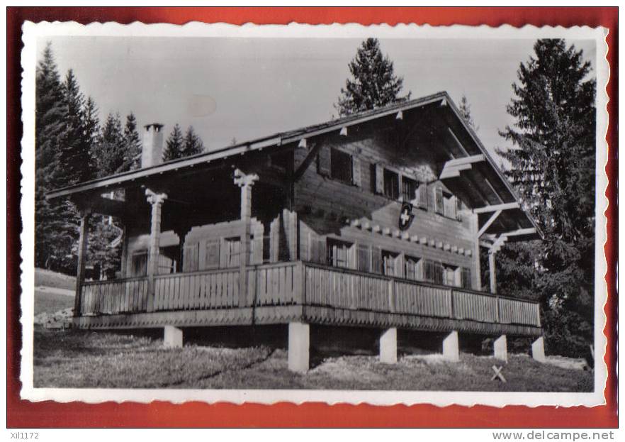 B526 Les Paccots Sur Châtel St Denis,Chalet Du Club Sportif Olympia,Ecusson Suisse.Cachet 1960.Perrochet - Châtel-Saint-Denis