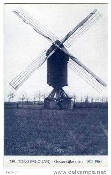 TONGERLO ~  Westerlo (Antw.) - Molen/moulin - Blauwe Prentkaart Ons Molenheem Van De Verdwenen Oosterwijkmolen - Westerlo