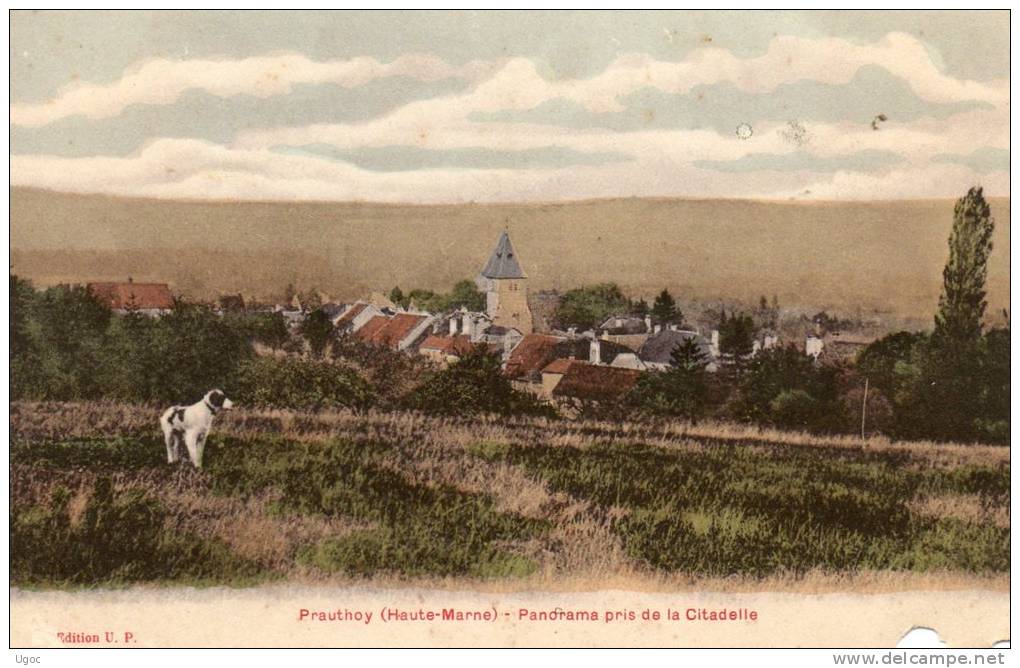 CPA - 52 - PRAUTHOY - Panorama Pris De La Citadelle - Carte Abimée En Bas à Droite -  829 - Prauthoy