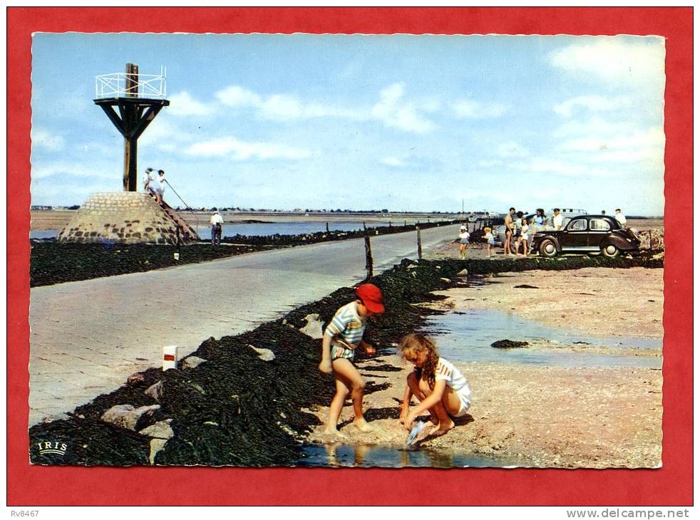 * NOIRMOUTIER-Le Gois.Balise Au Départ De Beauvoir(Enfants,automobile) - Ile De Noirmoutier