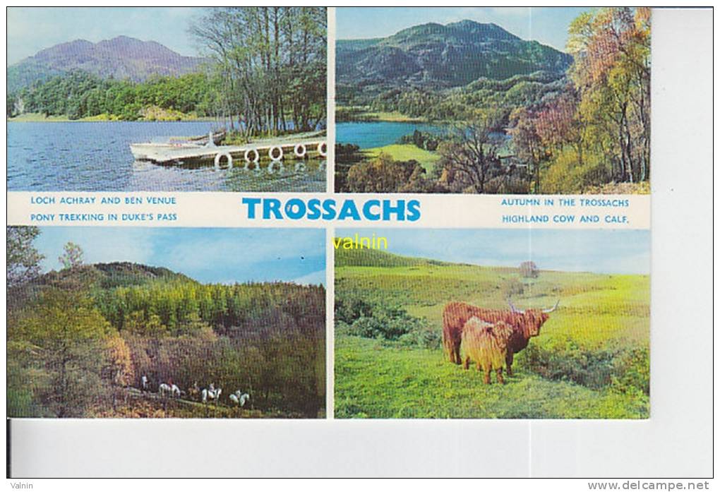 Trossachs - Stirlingshire