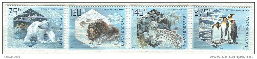 Hungary Icebear, Panther, Penguin, Polar Animals Set And SS, 2009 - Other & Unclassified