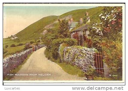 FISH MOUNTAIN FROM MELIDEN. W. 1245  ./ CUT ON LEFT SIDE. - Flintshire