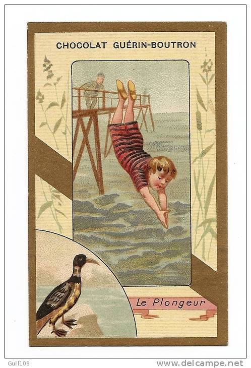 Chromo Dorée Chocolat Guérin Boutron Hérold Oiseau Enfant Plongeur Garçon Baignade Mer Nage Natation A12-23 - Guérin-Boutron