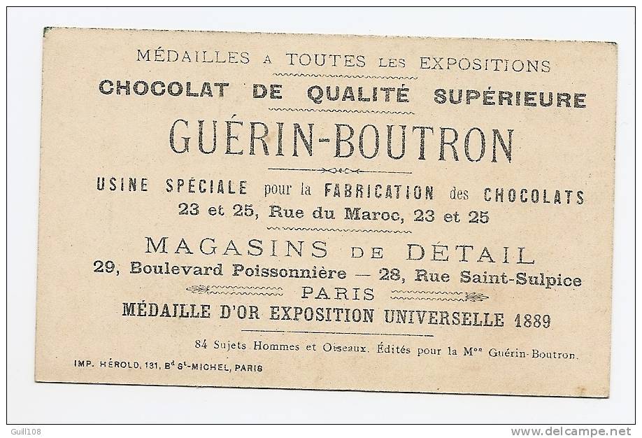 Chromo Dorée Chocolat Guérin Boutron Hérold Oiseau Enfant Plongeur Garçon Baignade Mer Nage Natation A12-23 - Guérin-Boutron