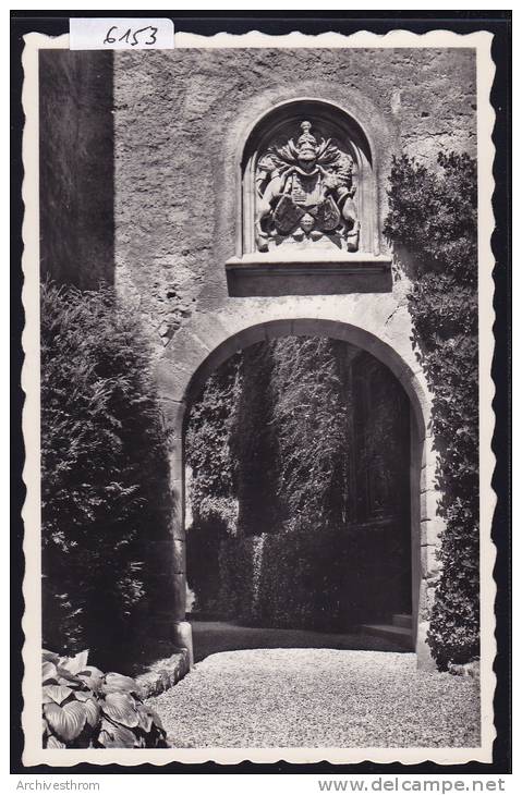 La Sarraz - Entrée Du Château (6153) - La Sarraz