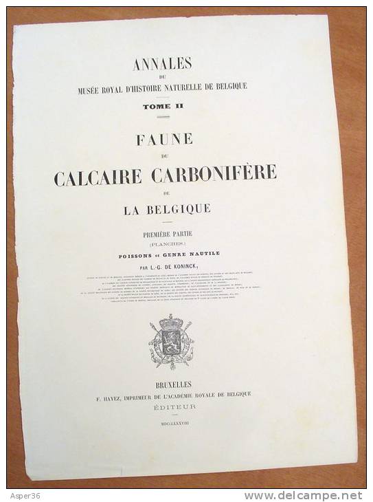 Litho "Faune Du Calcaire Carbonifère De La Belgique" Par L. G. De Koninck, Bruxelles 1878 - Estampes & Gravures