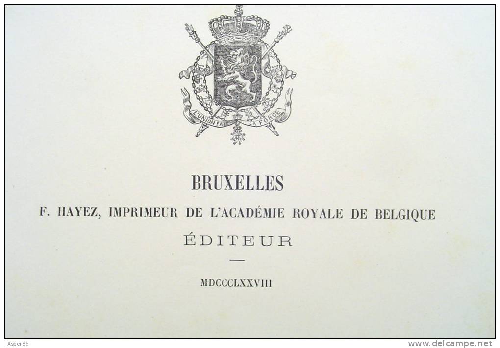 Litho "Faune Du Calcaire Carbonifère De La Belgique" Par L. G. De Koninck, Bruxelles 1878 - Estampes & Gravures