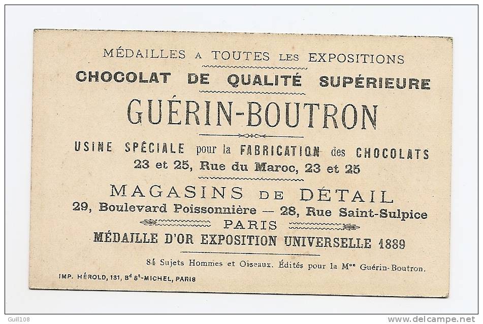 Chromo Dorée Chocolat Guérin Boutron Hérold Oiseau Enfant Etourneau Commis Cuisine Casserolle Chute A13-04 - Guerin Boutron