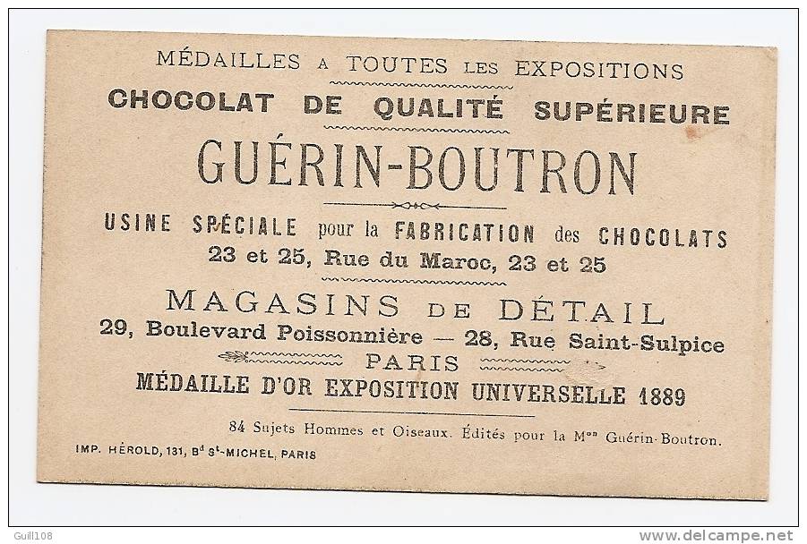 Chromo Dorée Chocolat Guérin Boutron Hérold Oiseau Enfant Hirondelle Des Cheminées Garçon Neige Ramoneur A13-08 - Guérin-Boutron