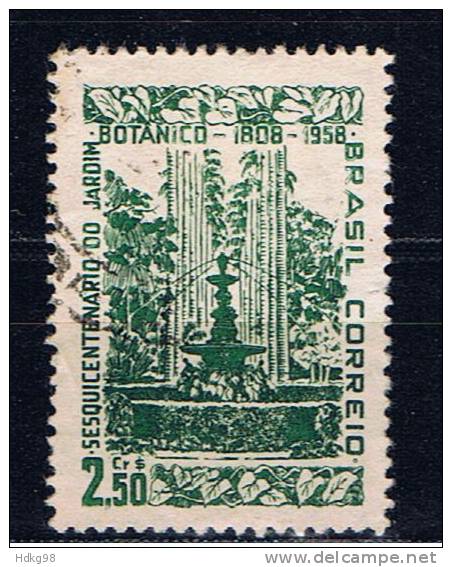 BR+ Brasilien 1958 Mi 935 Botanischer Garten Rio De Janeiro - Used Stamps