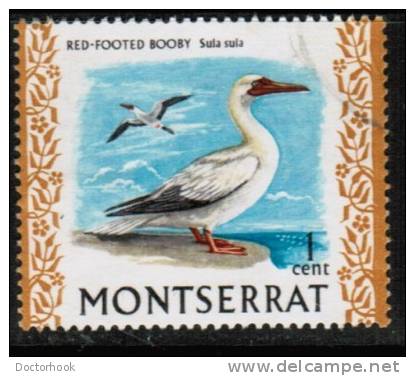MONTSERRAT   Scott #  231  VF USED - Montserrat