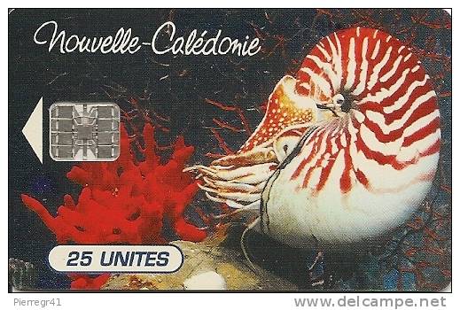 CARTE-PUCE-NOUVELLE-CALED ONNIE-25U-NC 38-N°Rge C5B154610-NAUTILE DE L AQUARIUM -TBE-LUXE - Nouvelle-Calédonie