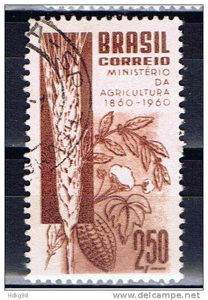 BR+ Brasilien 1960 Mi 986 Landwirtschaftsministeriu M - Used Stamps