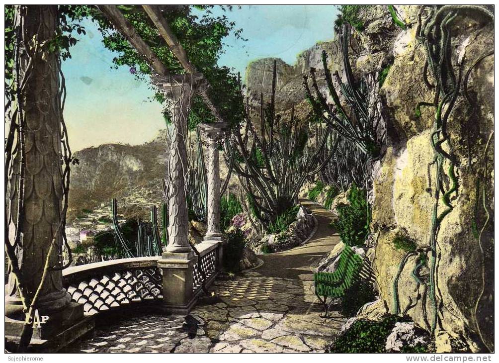 Monaco Le Jardin Exotique - Exotischer Garten