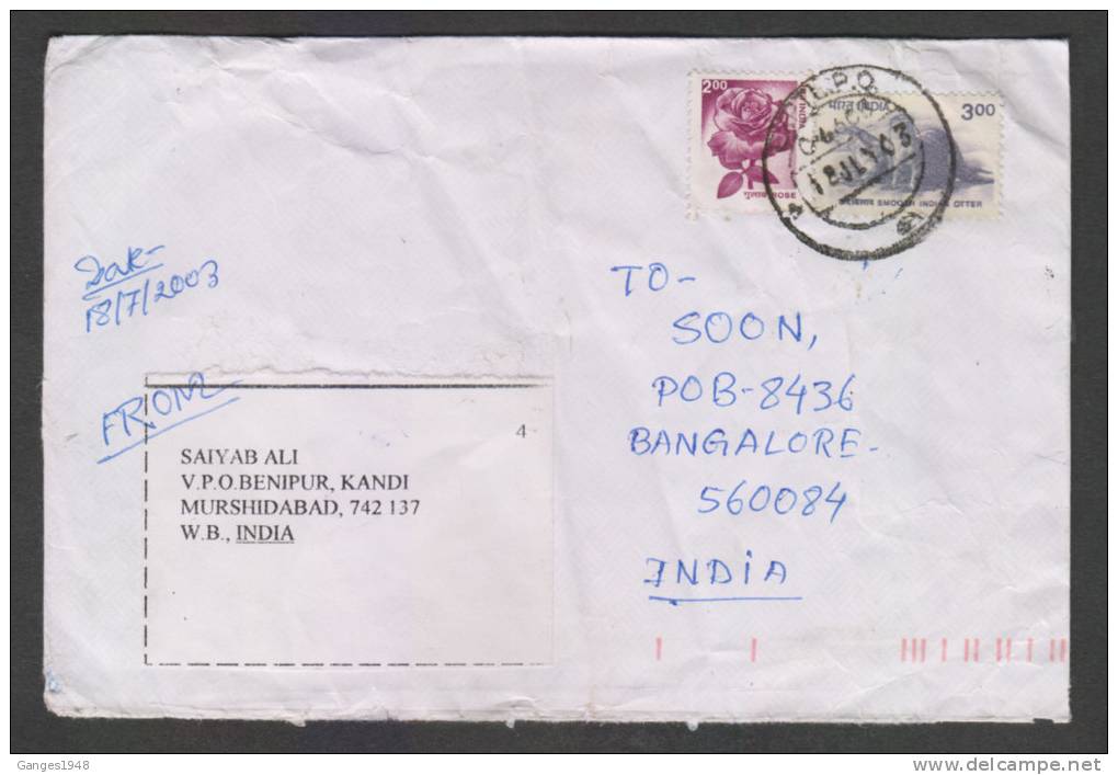 India 200  COVER  FLOWER ROSE   # 28844  Inde Indien - Brieven En Documenten