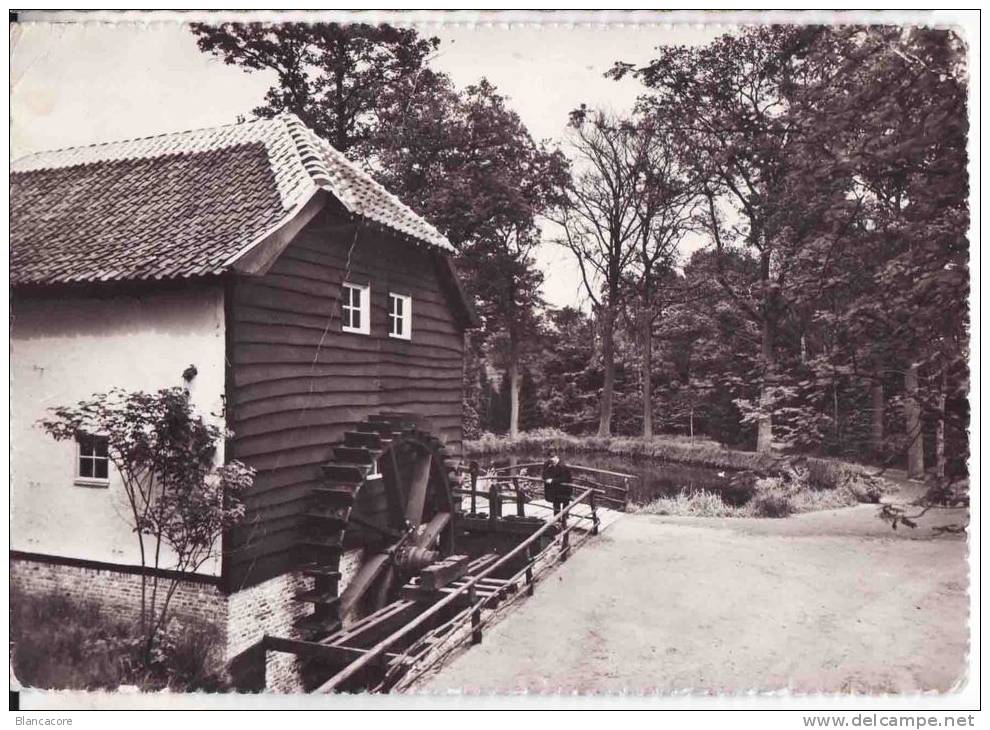 BOKRIJK / MOLEN - Genk