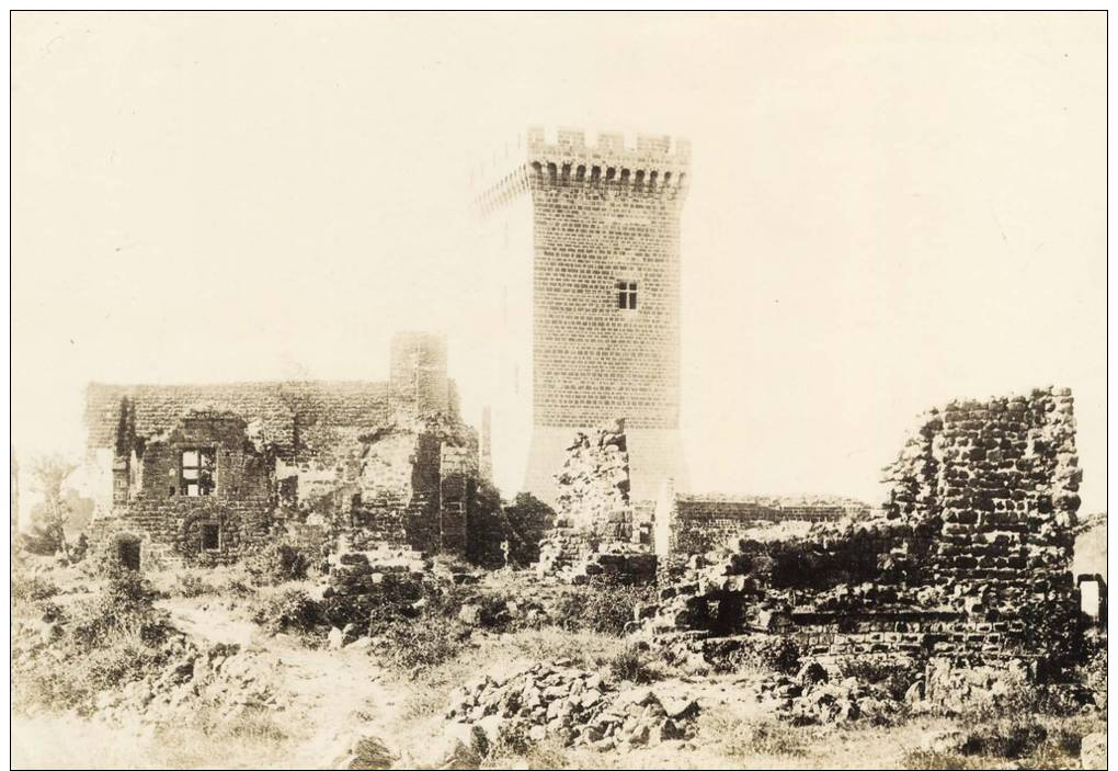 43- Château Polignac Photo 16.2 X 11.4 Cm Datant De 1895-98 - Otros & Sin Clasificación