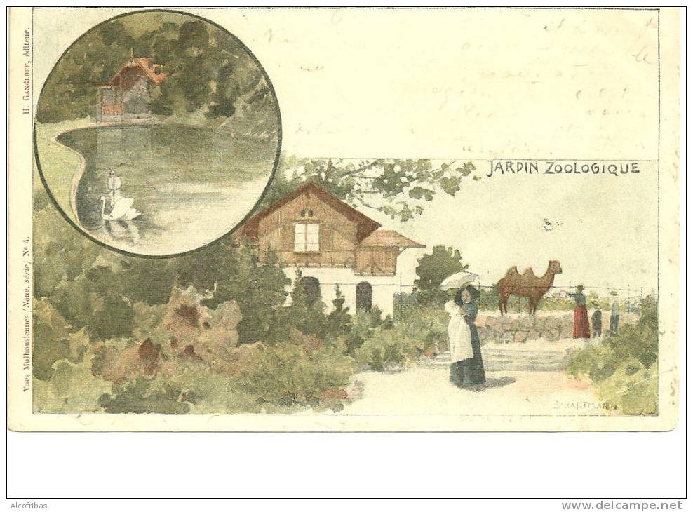 68 Cpa Mulhouse Alsace Jardin Zoologique Carte Nr 4 Souvent Manquante Dans Serie Litho Hartmann - Mulhouse