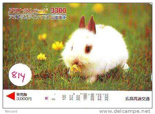 Télécarte Japon * LAPIN (814) RABBIT  * PHONECARD JAPAN * KANINCHEN * KONIJN * CONEJO * - Konijnen