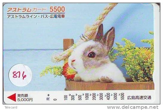 Télécarte Japon * LAPIN (816) RABBIT  * PHONECARD JAPAN * KANINCHEN * KONIJN * CONEJO * - Konijnen