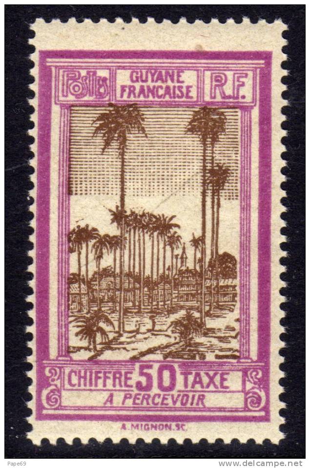 Guyane  Taxe N° 17 XX Place Des Palmistes à Cayenne : 50 C. Violet Et Sépia  Sans Charnière, Gomme Coloniale Sinon  TB - Sonstige & Ohne Zuordnung