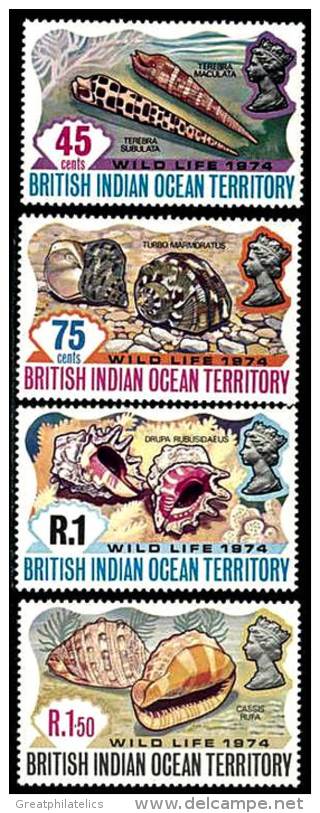 BRITISH INDIAN OCEAN TERRITORY  SEA SHELLS SC#59-62 MNH - Territorio Britannico Dell'Oceano Indiano