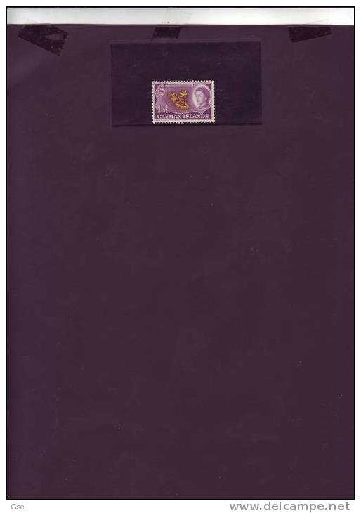 CAYMAN  ISLANDS 1962 - Yvert  159 - Gibbona 167° - Cayman (Isole)