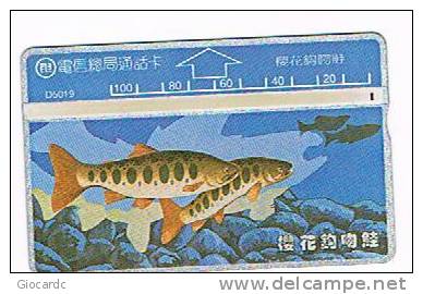 TAIWAN - CHUNGHWA TELECOM (L&G) - 1995  D5019 PESCI (FISHES)  (CODE 544E)  - USED ° - RIF. 4692 - Pesci