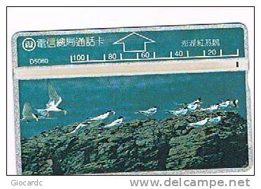 TAIWAN - CHUNGHWA TELECOM (L&G) - 1995  D5060 UCCELLI (BIRDS: SEA GULLS)    (CODE 510G)  - USED ° -  RIF. 4728 - Altri & Non Classificati