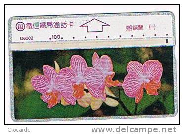 TAIWAN - CHUNGHWA TELECOM (L&G) - 1996  D6002  FLORA: ORCHIDS      (CODE 592L)  - USED °  -  RIF. 4733 - Fiori