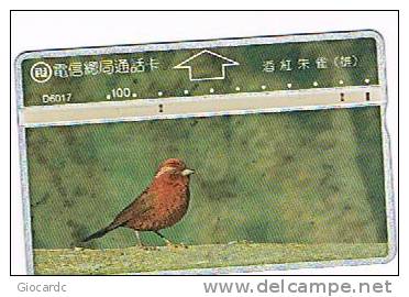 TAIWAN - CHUNGHWA TELECOM (L&G) - 1996  D6017 UCCELLI (BIRDS)     (CODE 605B)  - USED °  -  RIF. 4763 - Uccelli Canterini Ed Arboricoli