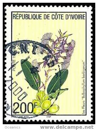 Côte D´Ivoire (Y/T No.1019 - Fleurs / Flowers 100f) - Côte D'Ivoire (1960-...)