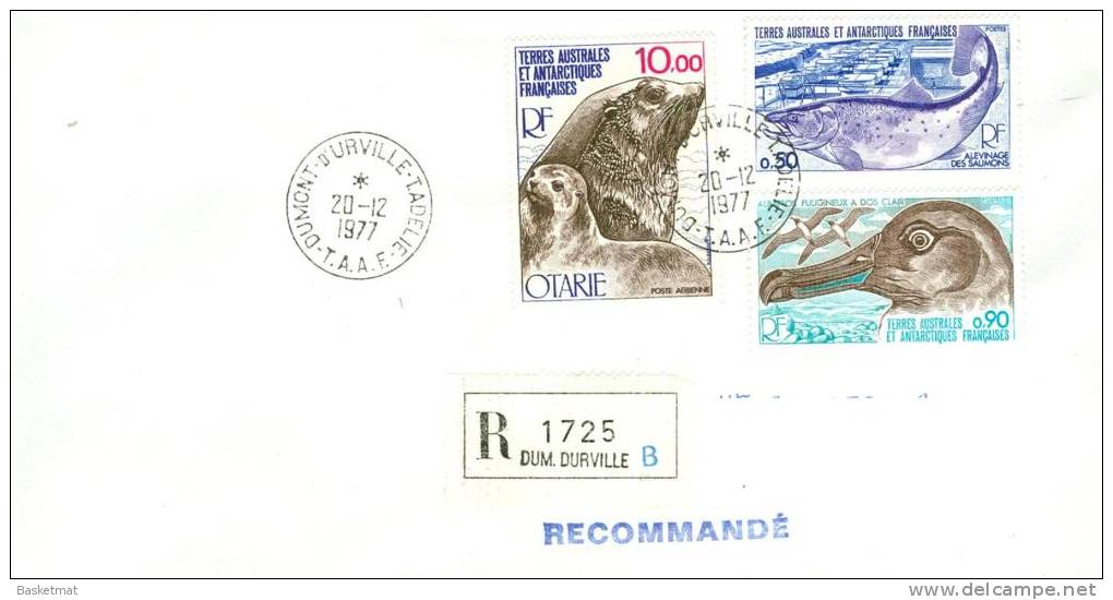 TAAF ENV DUMONT D´URVILLE   20/12/1977  RECOMMANDE TIMBRE OTARIE - Cartas & Documentos