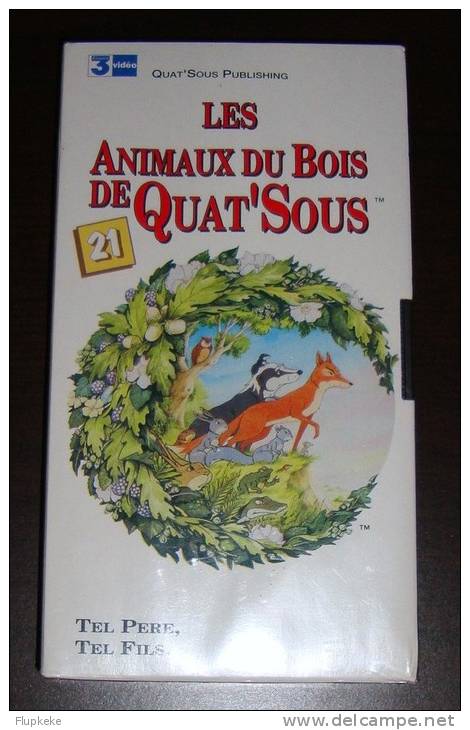 Vhs Pal Les Animaux Du Bois De Quat´Sous 21 Tel Père, Tel Fils Version Française - Children & Family