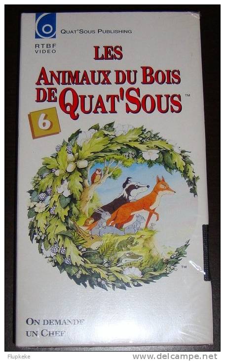 Vhs Pal Les Animaux Du Bois De Quat´Sous 6 On Demande Un Chef Version Française - Children & Family