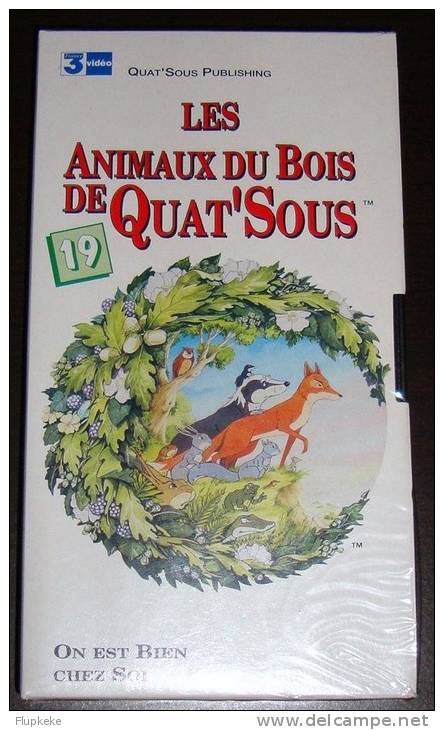 Vhs Pal Les Animaux Du Bois De Quat´Sous 19 On Est Bien Chez Soi Version Française - Children & Family