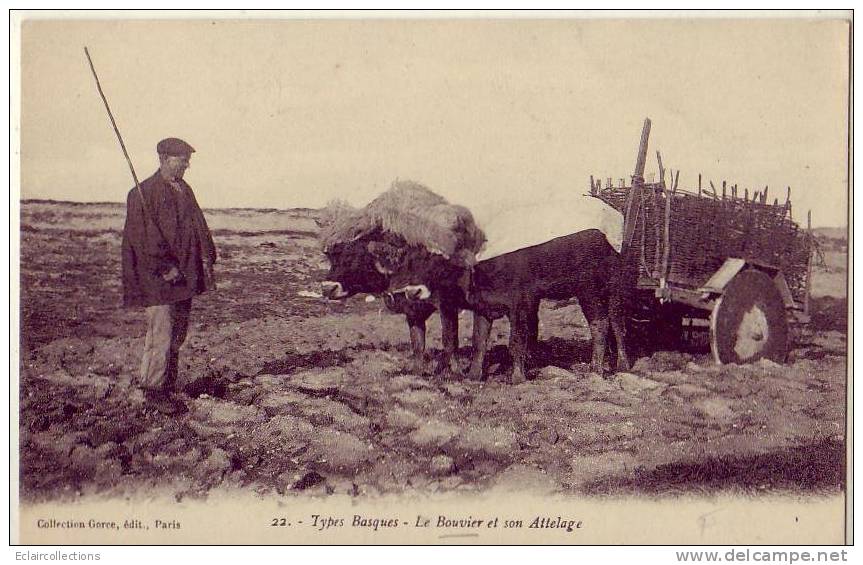 France...CPA. ...64.....Type Basque..Le Bouvier Et Son Attelage - Autres & Non Classés