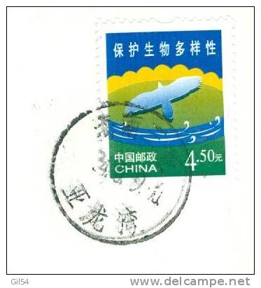China Chine 2004 Mi. 3507 4.50 Y Sur Carte Postale Vers La France - Au2502 - Covers & Documents