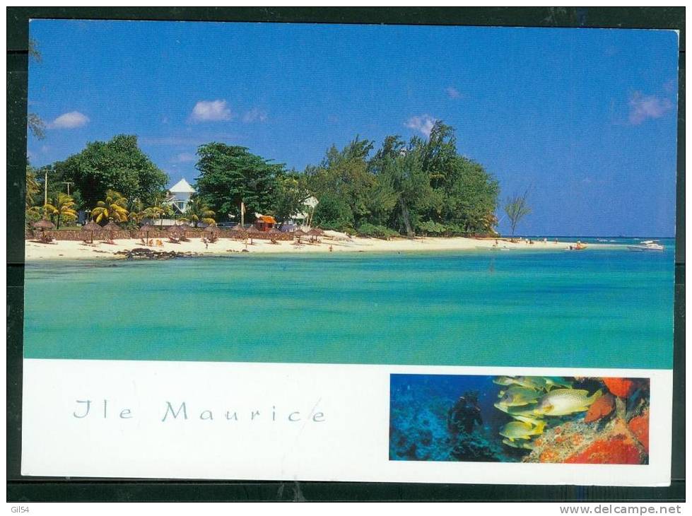 Timbre De L'ile Maurice   Au Dos D'une Carte Postale Pour La France  En  1988 ?   Au2529 - Mauritius (1968-...)