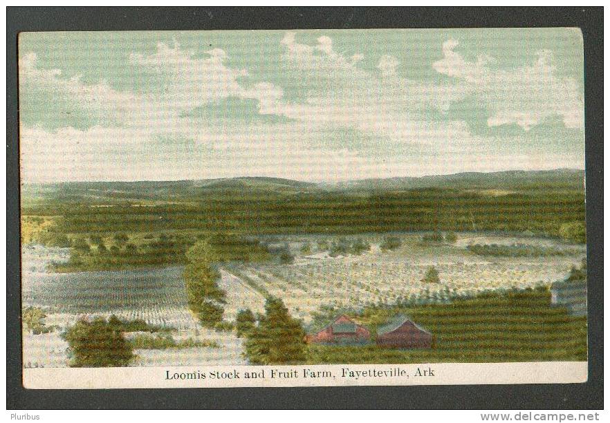 USA , FAYETTEVILLE, LOOMIS STOCK AND FRUIT FARM , VINTAGE POSTCARD - Fayetteville