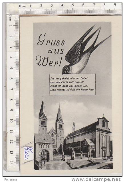 PO9618A# GERMANIA - GERMANY - WERL - RONDINE MESSAGGERA   No VG - Werl