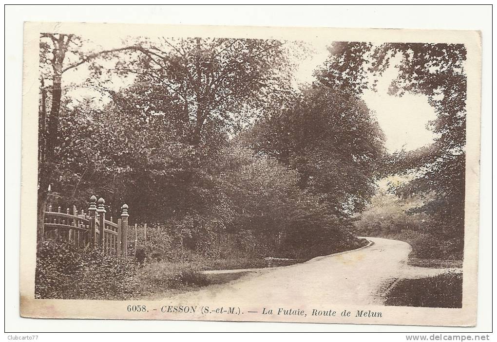 Cesson (77) : La Route De Melun, Entrée De La Villa "La Futaie" En 1930. - Cesson
