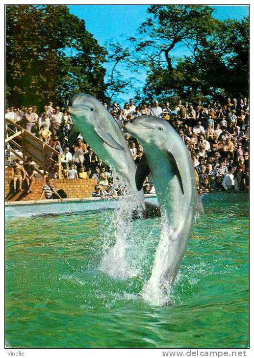 Réf: TH-87 : Dauphin Dans Parc D´attraction  :    Dalphins - Dauphins