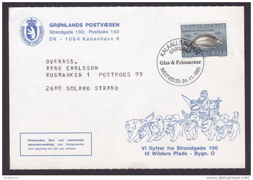 Greenland Special Cancel Card NÆSTVED Glas & Frimærker 1985 Dog Sled Attelage De Chiens Cachet - Briefe U. Dokumente