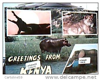 KENYA IPPOPOTAMIO LEONE  ELEFANTE VB1977 DI10795 - Nijlpaarden