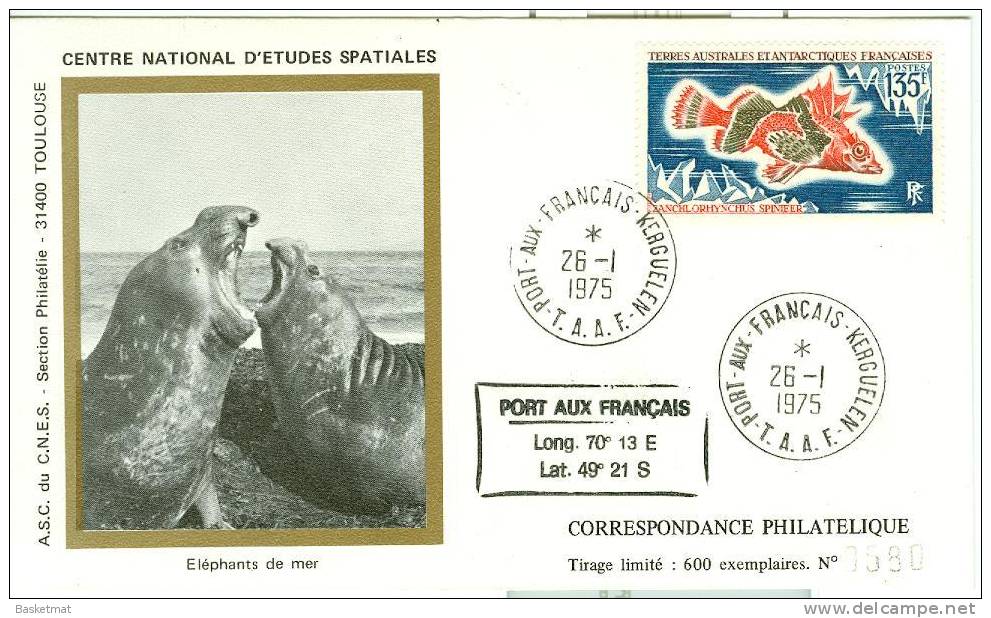 TAAF ENV PORT AUX FRANCAIS KERGUELEN FDC 26/1/1975 POISSON N°45 - Cartas & Documentos