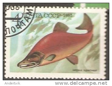Rusia, 1983, Pez Fish - Used Stamps