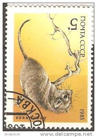 Rusia, 1985, Ratón Musaraña ??? - Used Stamps